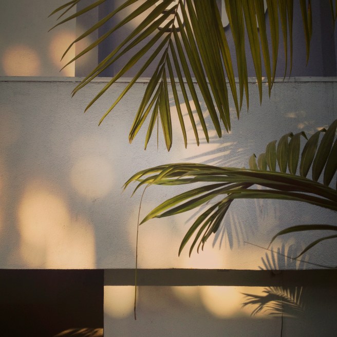 light_shadows_05_2014