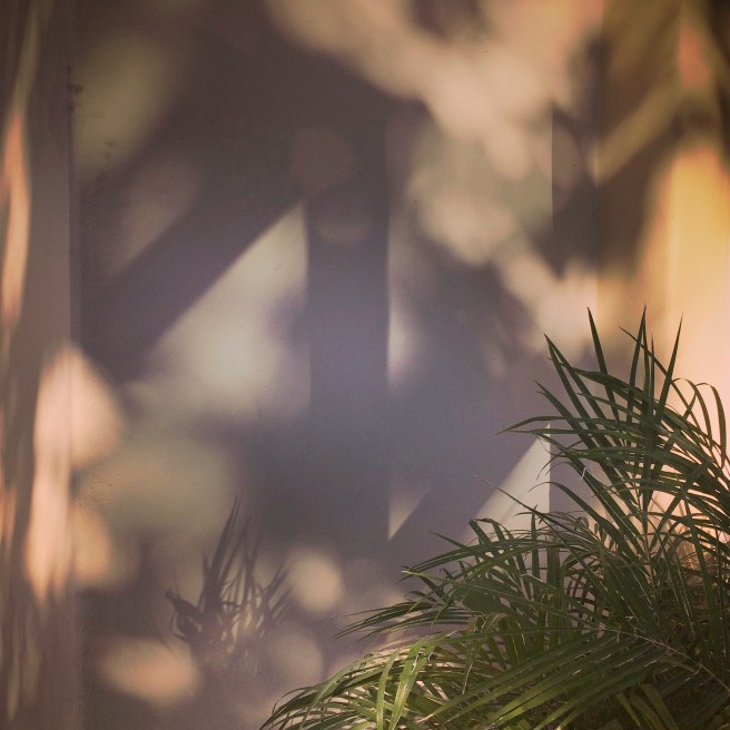 light_shadows_06_2014