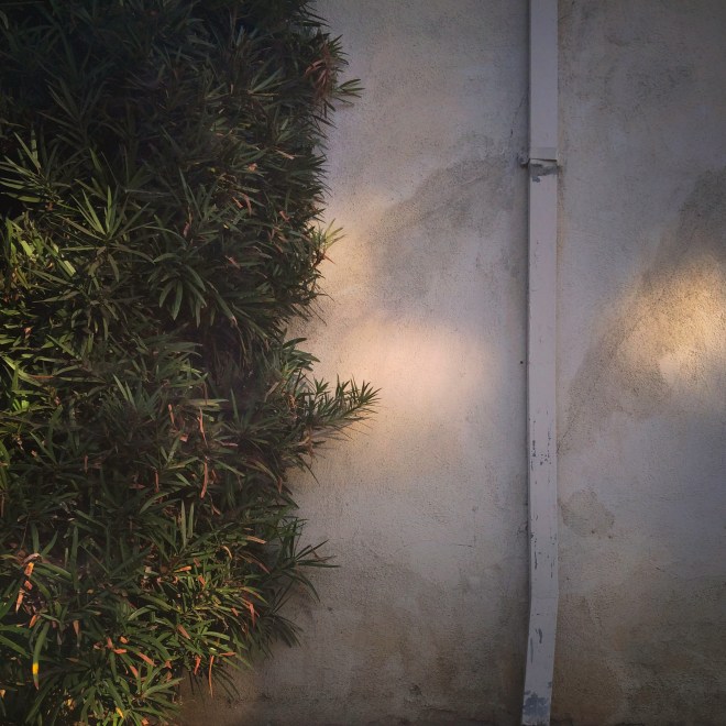 light_shadows_11_2014