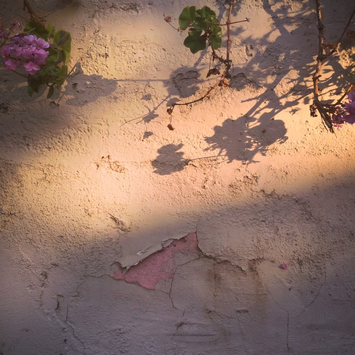 light_shadows_14_2014