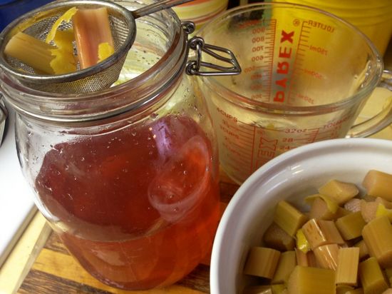 spark-post-image_ehowcdn~images01_spark_5b_ec_rhubarb-50a7e83515bec