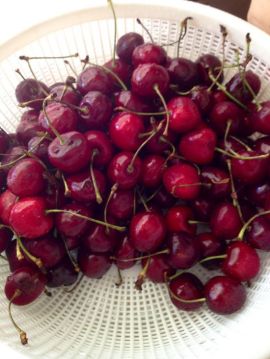 spark-post-image_ehowcdn~images01_spark_d4_d3_d4d37e73c2bd3a8f40fb1d54fd7de2e7