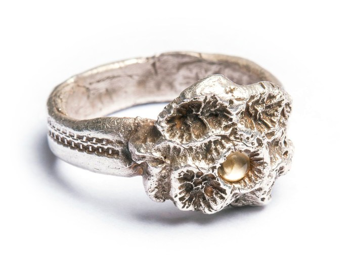 10914744_687973301316357_7427993532865364207_o