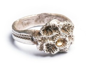 10914744_687973301316357_7427993532865364207_o