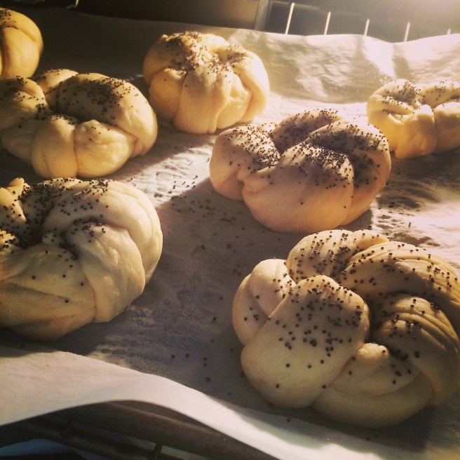 2015-05-10 10.15.07-1