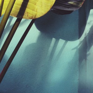 2015-09-11 18.18.23-1