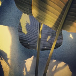 2015-09-11 18.18.36-1