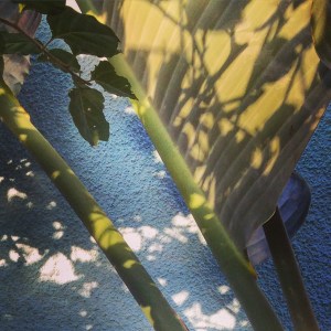 2015-09-11 18.18.42-1