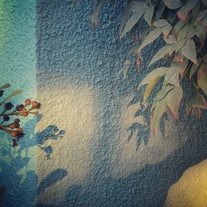 2015-09-11 18.20.34-1