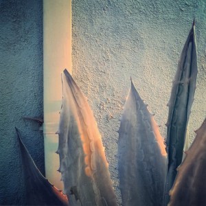 2015-09-11 18.47.15-1